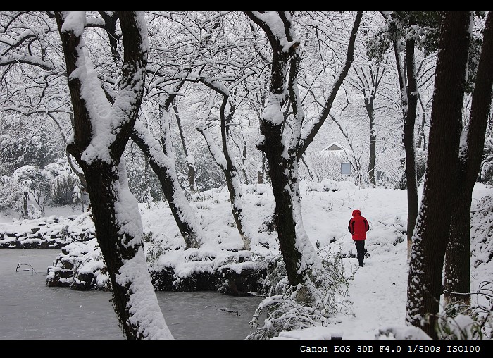 亭林雪景 摄影 柯闲客