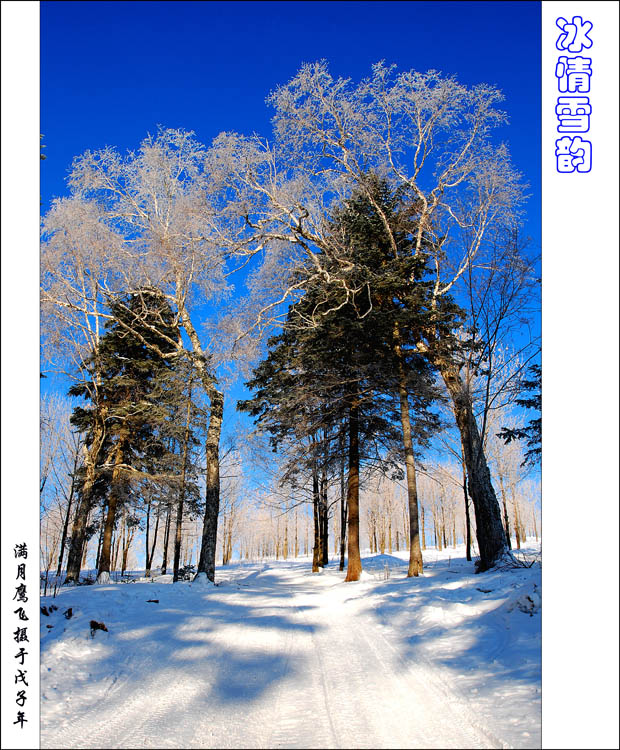 冰情雪韵之七 摄影 满月鹰飞