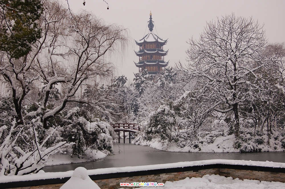 雪景 摄影 zw114