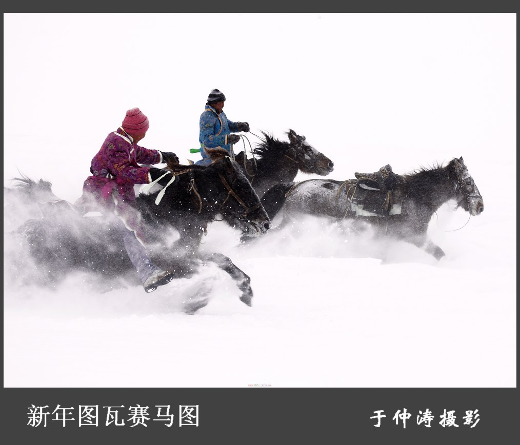 新年图瓦赛马图 摄影 古道浪子