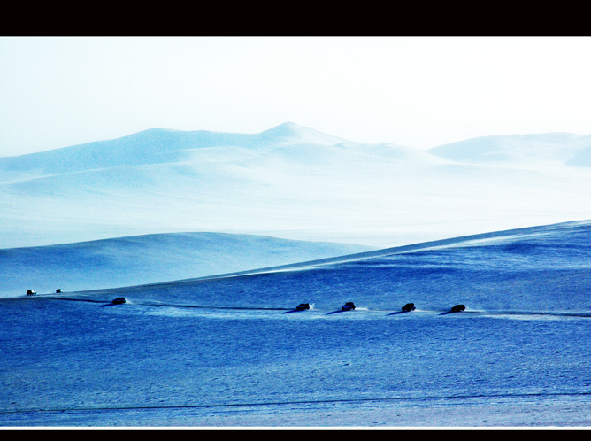 雪浴高原 摄影 科德