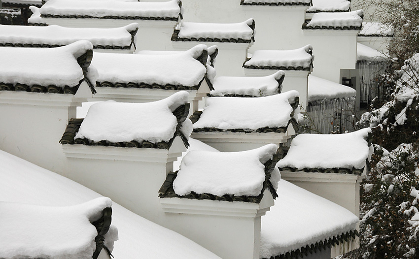 雪 摄影 阿贡