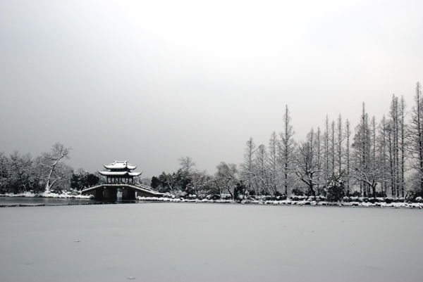 西湖雪景一 摄影 海浪淘沙