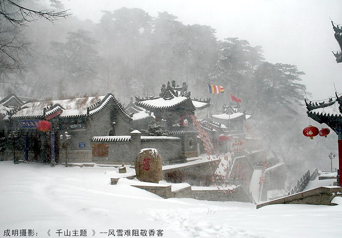 难忘的千山大风雪 摄影 askcm