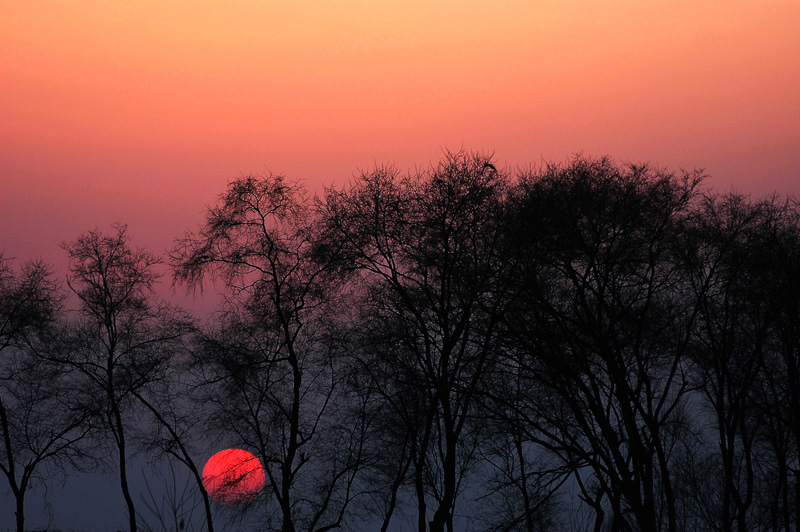 夕阳红 摄影 古堤