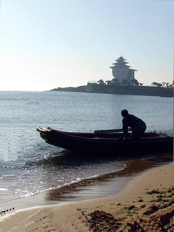 海岸 摄影 灰脸