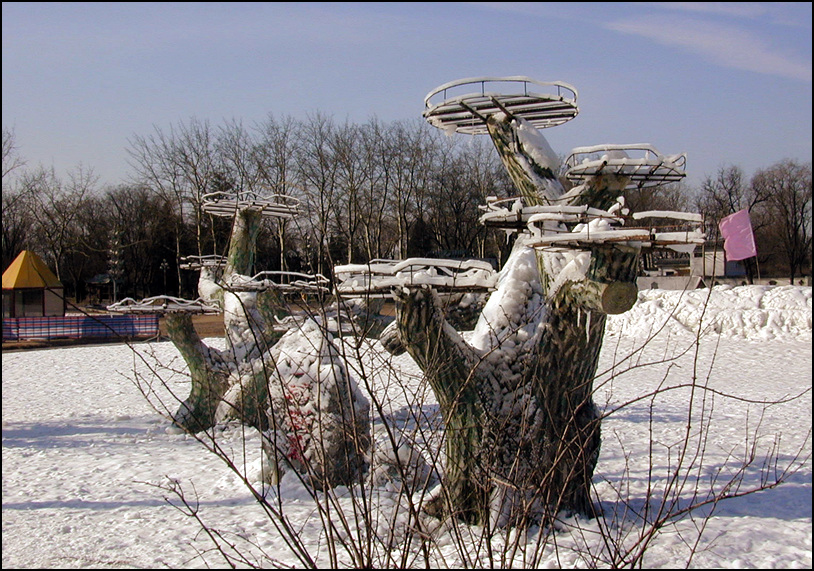 公园人造雪景 摄影 xiexie