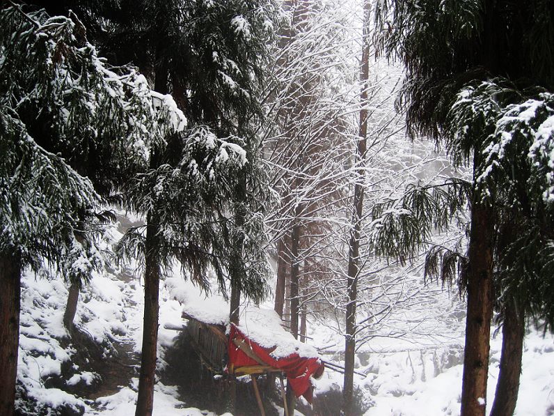 2008年的第一场雪 摄影 明月松尖照