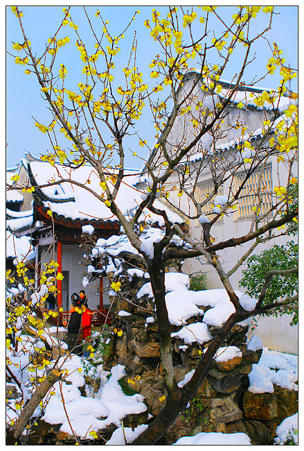 苏州园林雪景 摄影 句吴潜人