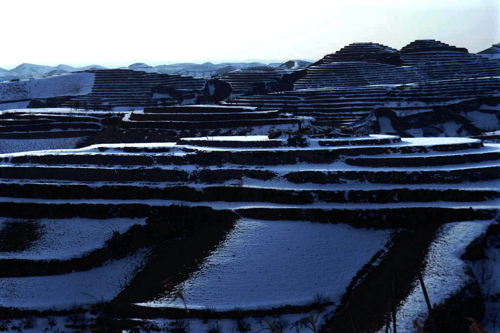 梯田 摄影 人生之旅