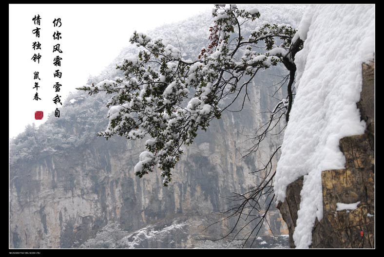 无限风光在险峰 摄影 摄欲