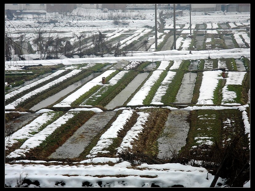 雪原 摄影 hfwang