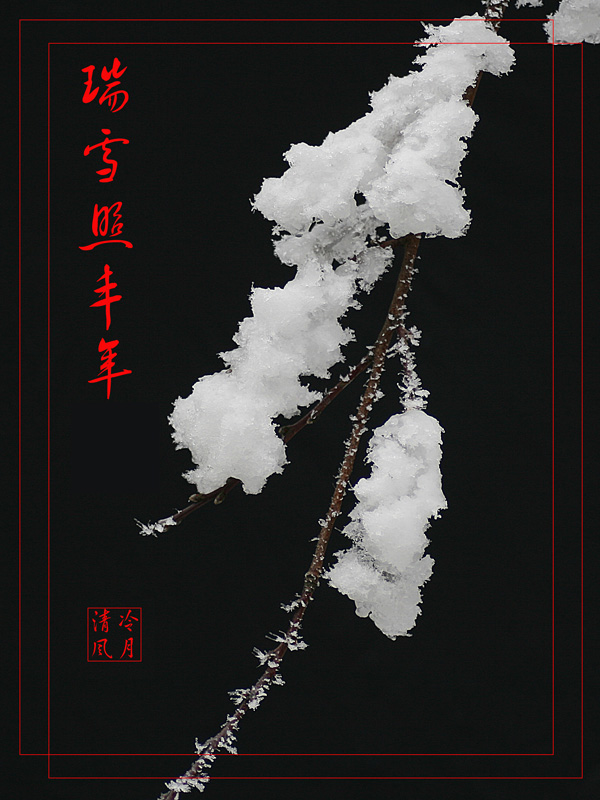 瑞雪 摄影 冷月清风