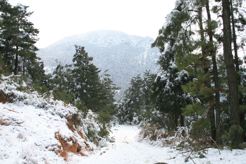 苗辽山雪景 摄影 chau