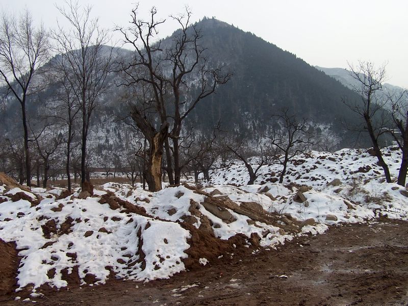 残雪 摄影 西部老土