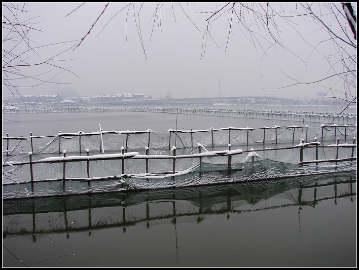 雪里网箱 摄影 平安