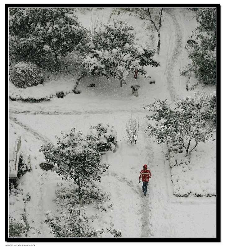 风雪路归人 摄影 yx_sun