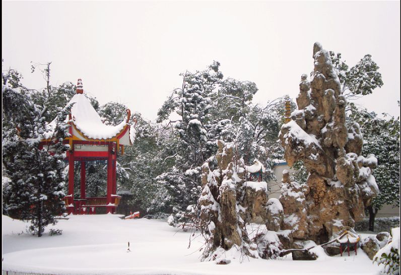 雪景 摄影 莹莹