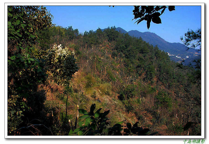 鬼剃头 摄影 千岛湖