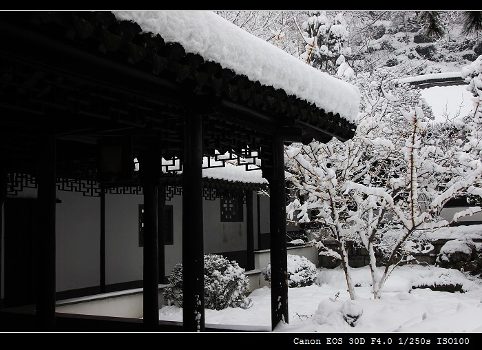 亭林雪景 摄影 柯闲客