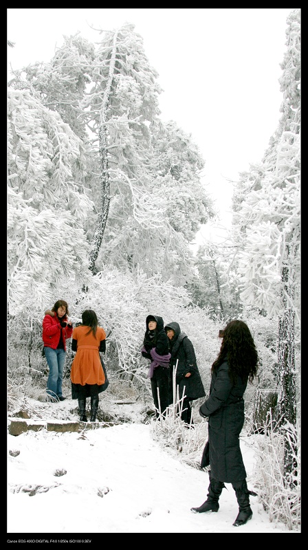 寒雪“冬梅” 摄影 北边