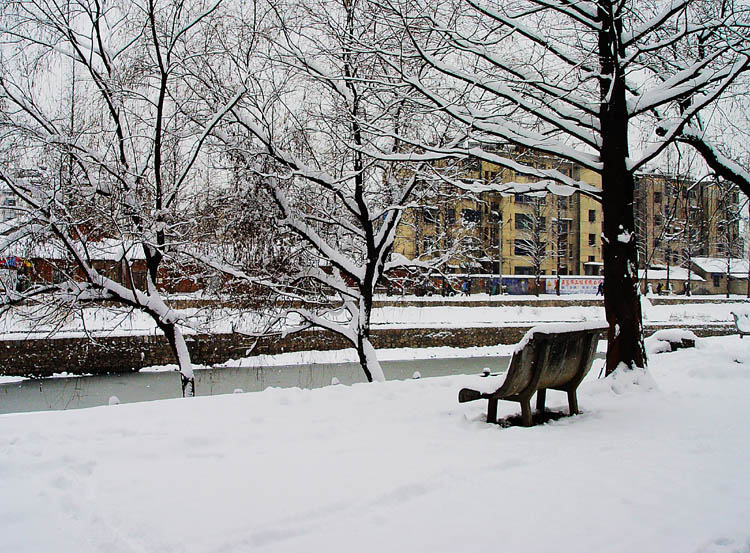 请坐下赏雪景 摄影 morningtigr