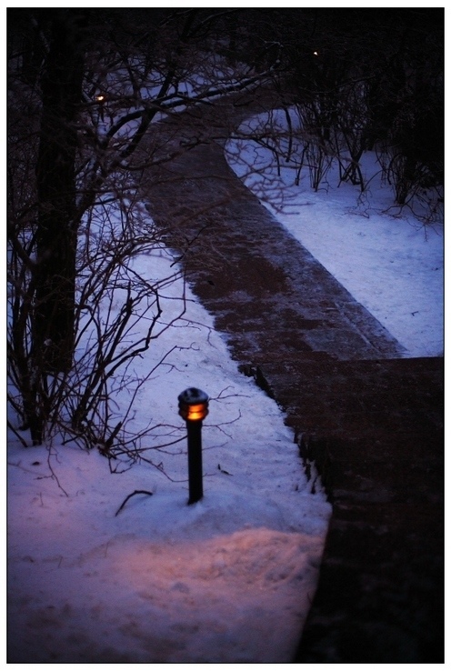 水墨黄山、雨雪行 摄影 sameochan