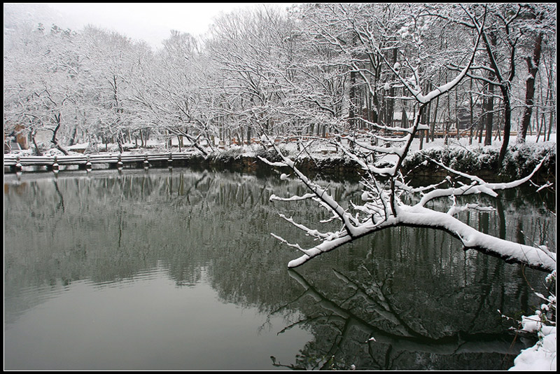 探雪 摄影 干草久久