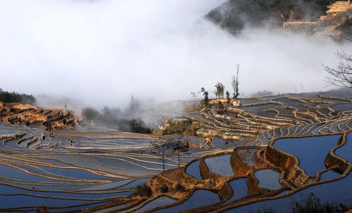 元阳梯田2 摄影 冬日可爱