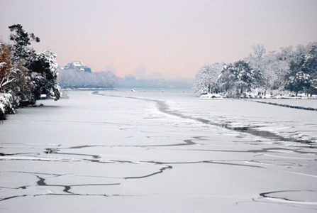 西湖雪景三 摄影 海浪淘沙