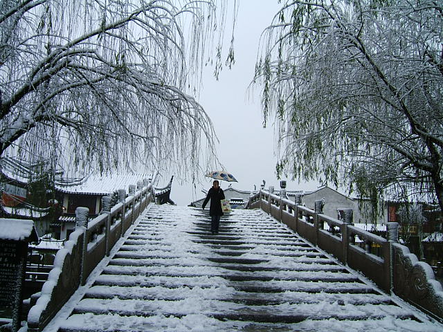 雪 摄影 自然的遐想