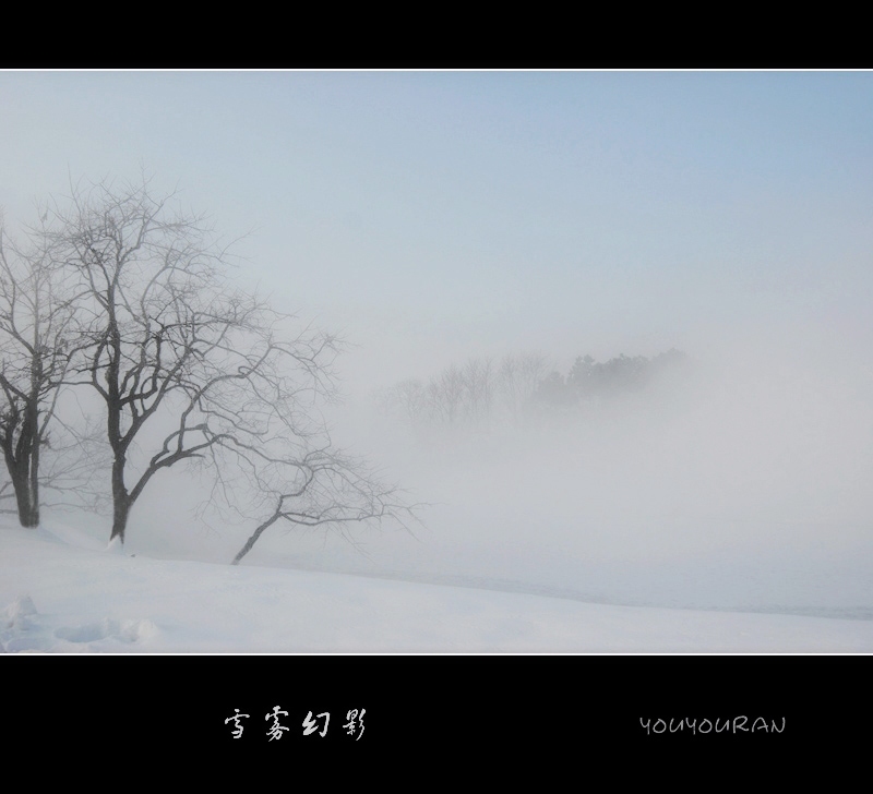 雪雾朦胧 摄影 悠悠然