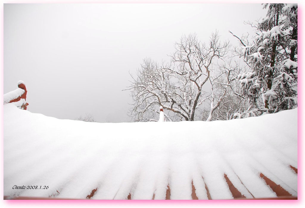 青城瑞雪13-银色瀑帘 摄影 草甸子