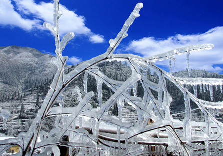 瑞雪兆丰年 摄影 小成