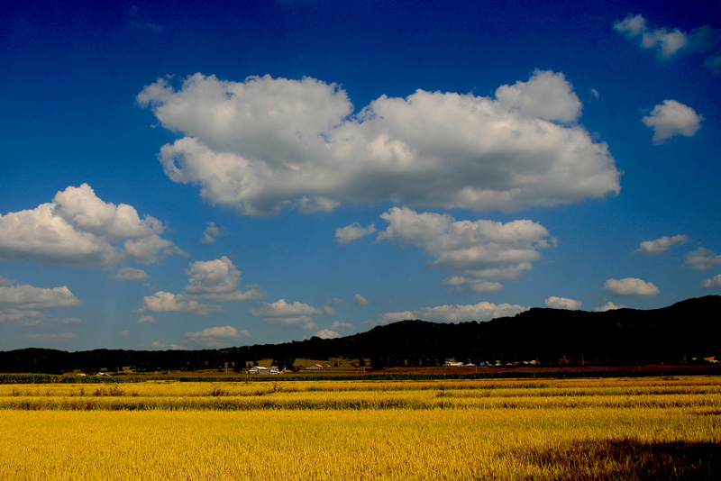 稻香村 摄影 天府土人