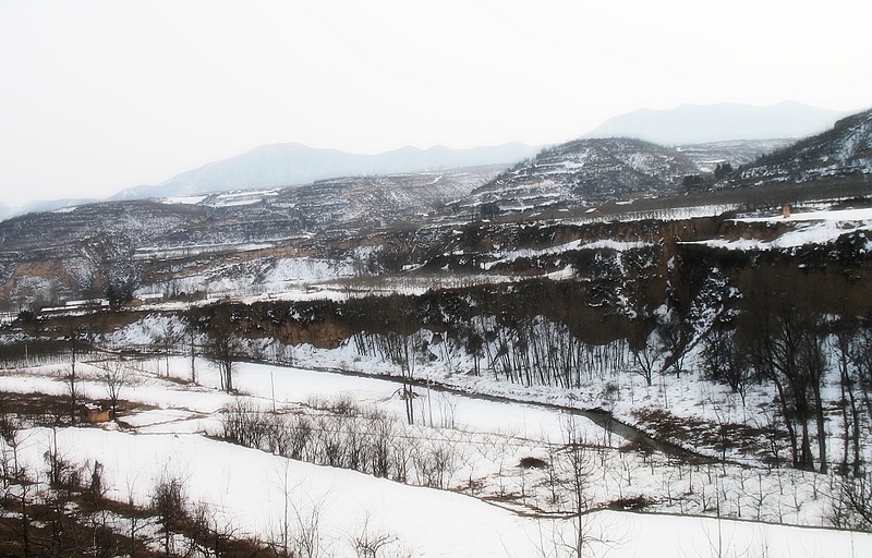 雪原雄姿—6 摄影 秦岭横云