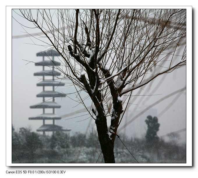 08年大雪第一天 摄影 射天狼