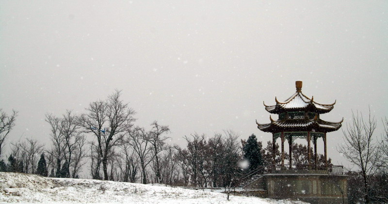 雪韵 摄影 影呆