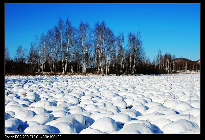 冬雪 摄影 荒野之恋