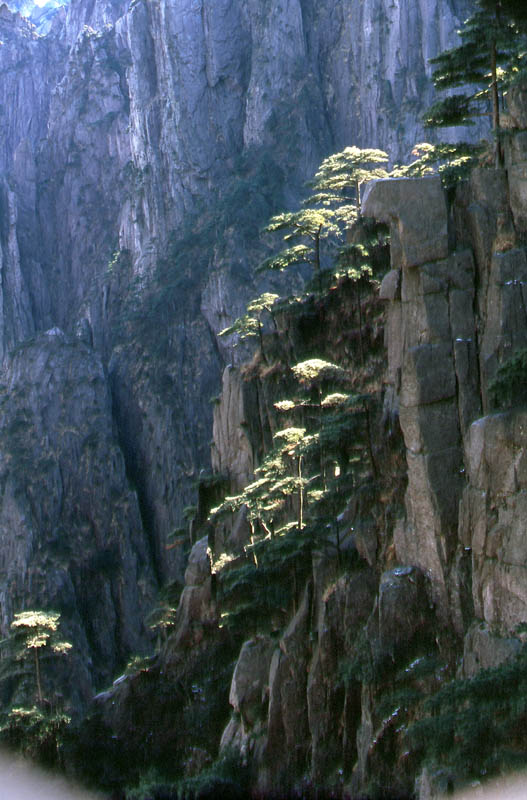 黄山归来不看山 摄影 荷塘