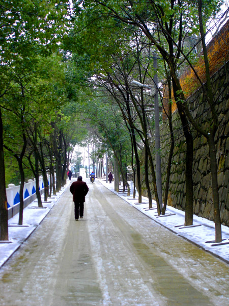 冰雪记忆 摄影 天天好心情zh