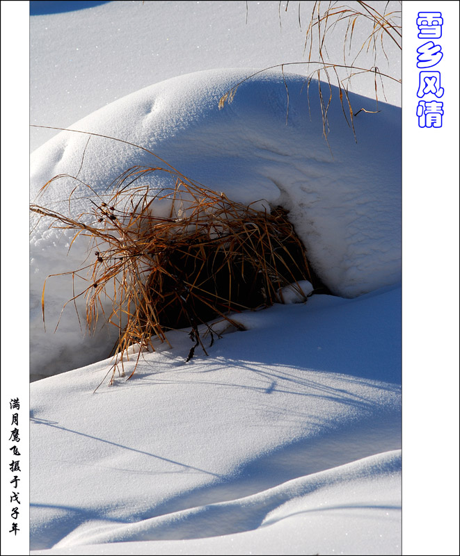 雪乡风情之九 摄影 满月鹰飞