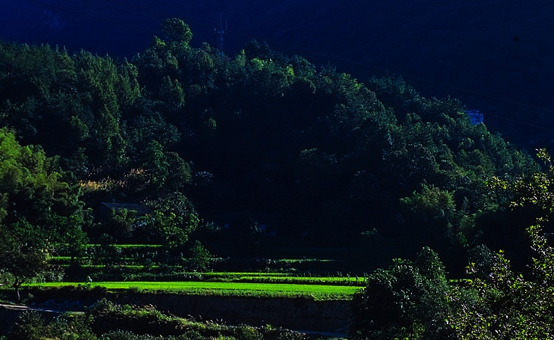 山田 摄影 jifeng0058