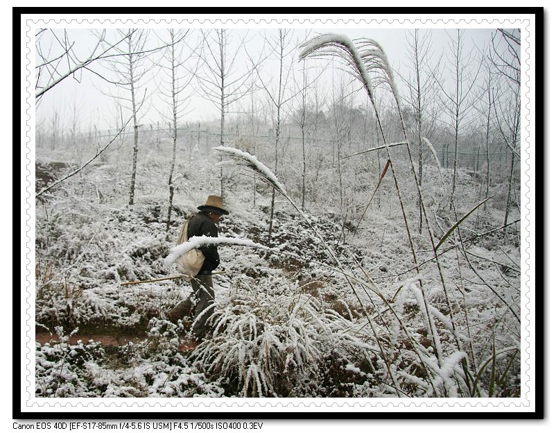 风雪路人1 摄影 土猴