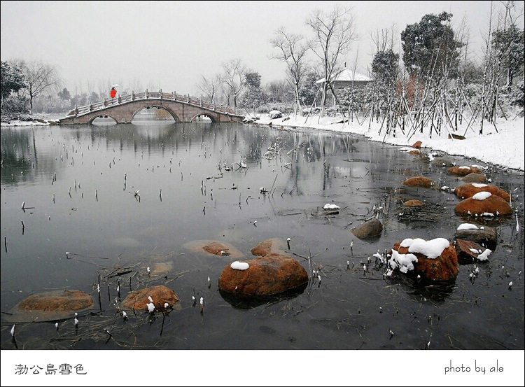 渤公岛雪色——无锡景(102) 摄影 阿乐