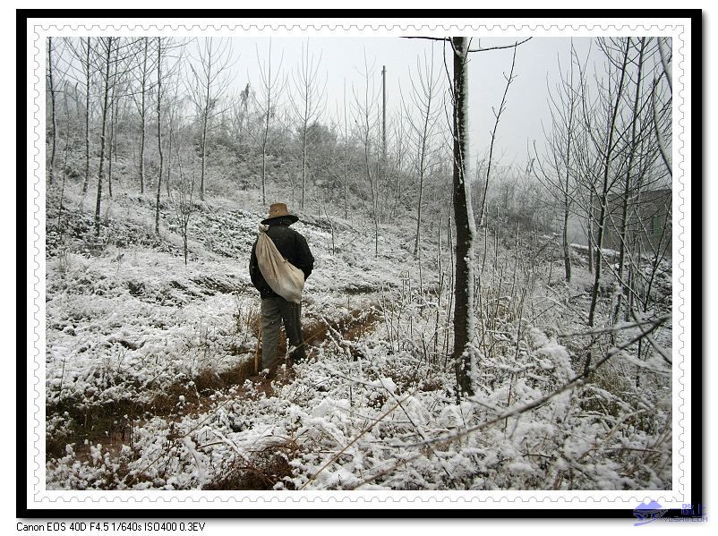 风雪路人2 摄影 土猴