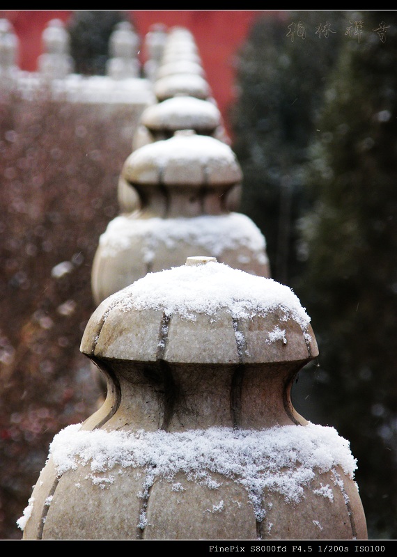 今天下雪了 摄影 柏林禅寺