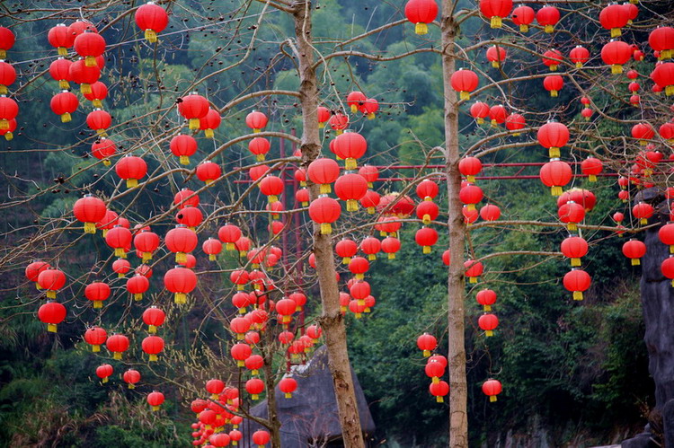 红灯笼 摄影 海海哥