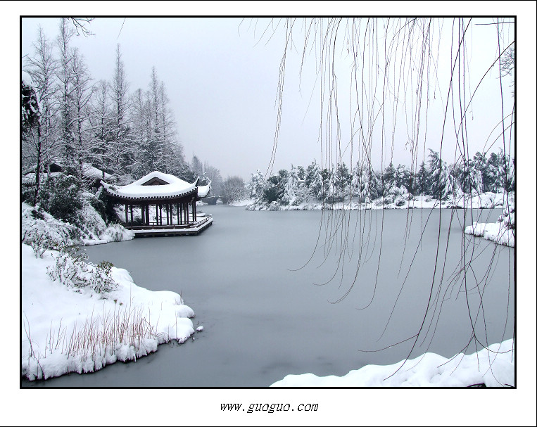 雪景 摄影 向望