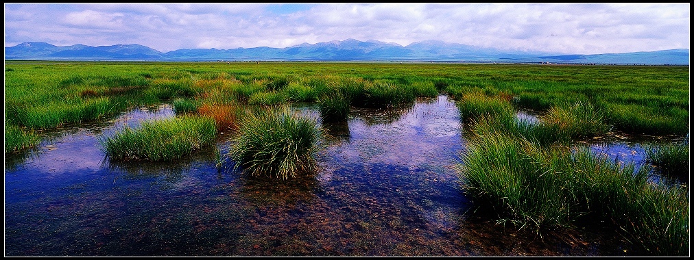 草密水浅 摄影 渐天如水